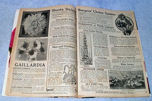 Burgess seed coupon code