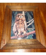 Vintage picture of owl sitting on tree branch wood Framed Brown - $42.09