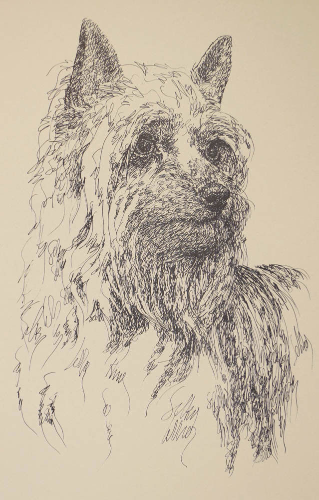 Silky Terrier Dog Art Print #27 WORD DRAWING Kline adds your dogs name free.