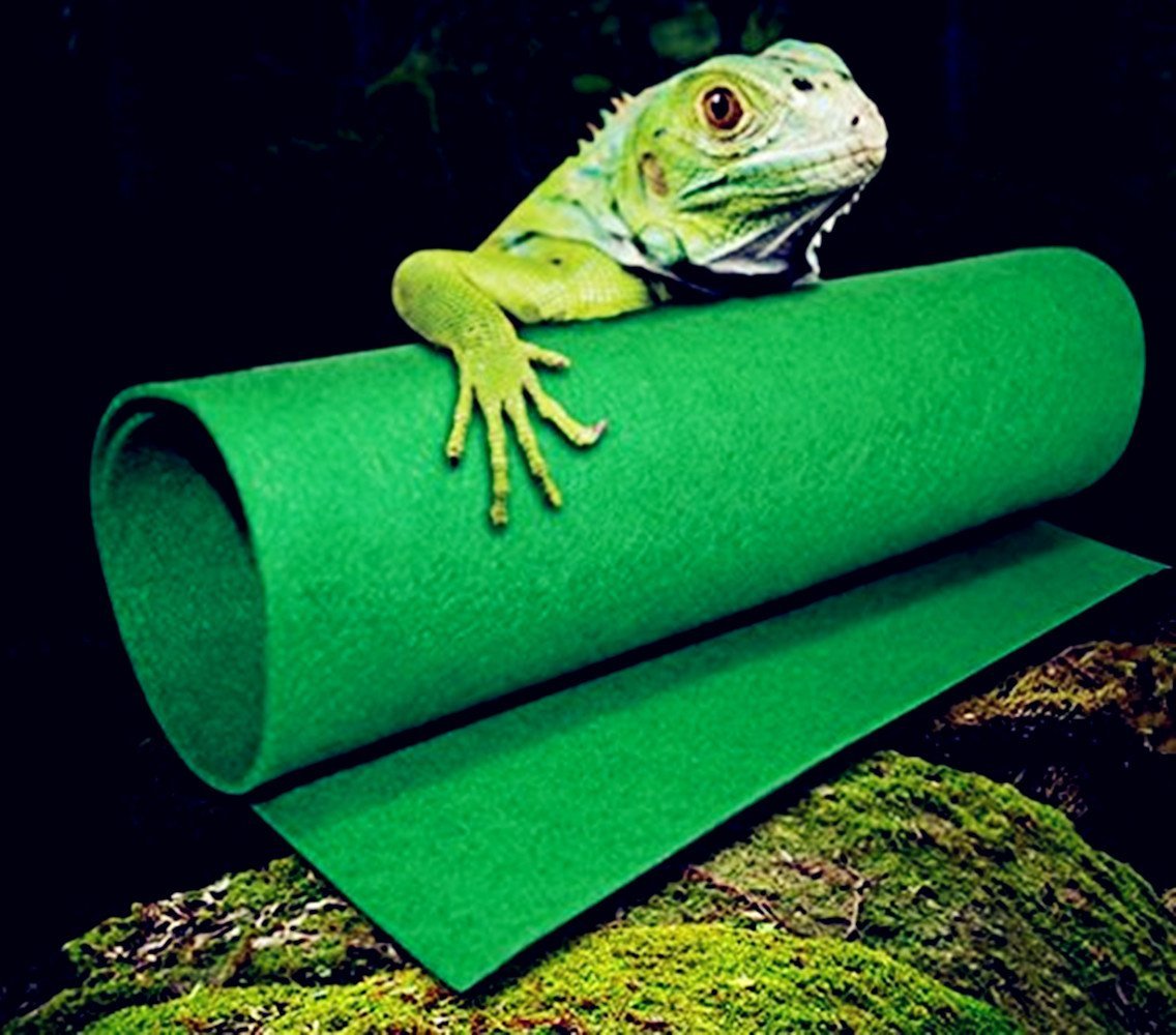 Reptiles Carpet Terrarium Liner, FMJI Bearded Dragon Accessories ...