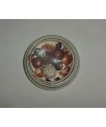 Vintage Magnifying Dome Beaded Glass Paperweight Amber Seashells Acorns ... - $26.50