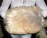 170 thumb155 crop