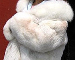 182 thumb155 crop
