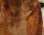 193 thumb155 crop