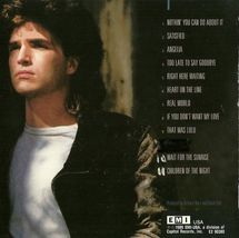 Richard Marx CD Repeat Offender 1989 - CDs