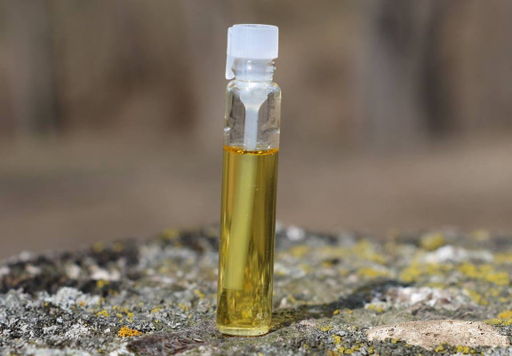 Maclura Pomifera Osage Orange 100 Natural And Similar Items Maclura Pomifera Osage Orange 100 Natural Vegan Cold Pressed Essential Oil