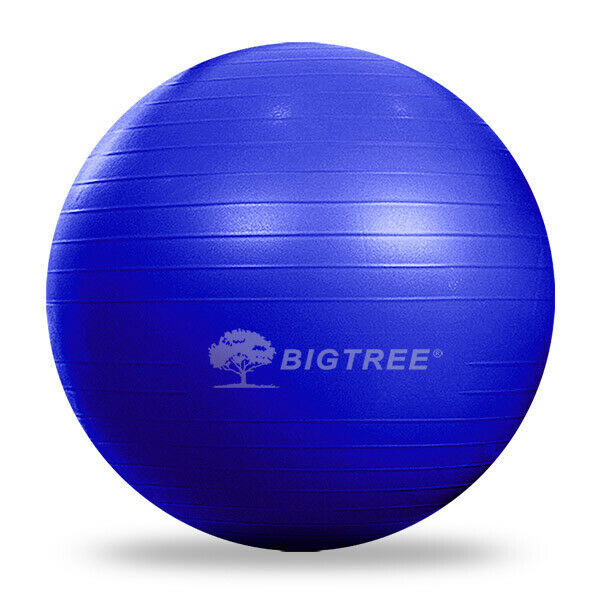 25.59 Yoga Ball Exercise Core Stability Strength Anti-Burst Heavy Duty Blue