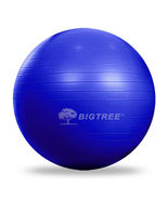 25.59&quot; Yoga Ball Exercise Core Stability Strength Anti-Burst Heavy Duty ... - $25.99