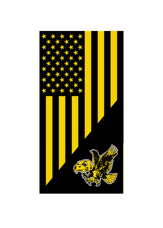 CUSTOM VINYL Cornhole Board DECAL/ Iowa Hawkeyes American Flag