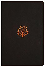 I Am Bible, Black LeatherTouch, Indexed Kirby, Terry and Holman Bible Staff - $54.00