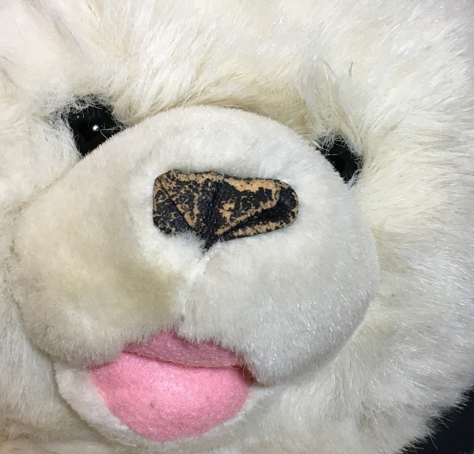 the westcliff collection teddy bear