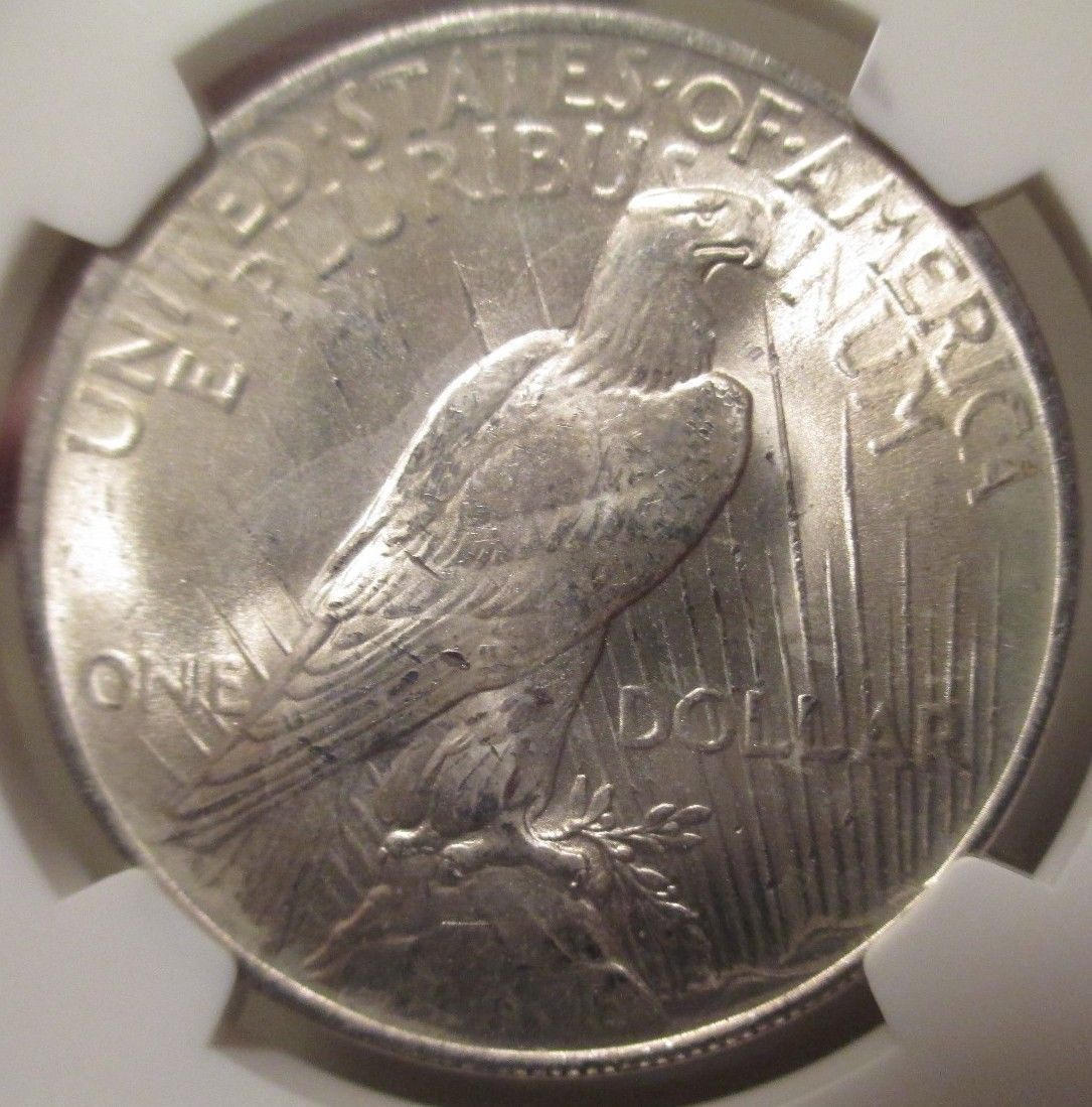 lady liberty coin value 1923