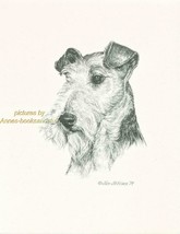 #219 WIRE HAIRED FOX TERRIER dog art print * Pen and ink drawing by Jan ... - $9.95