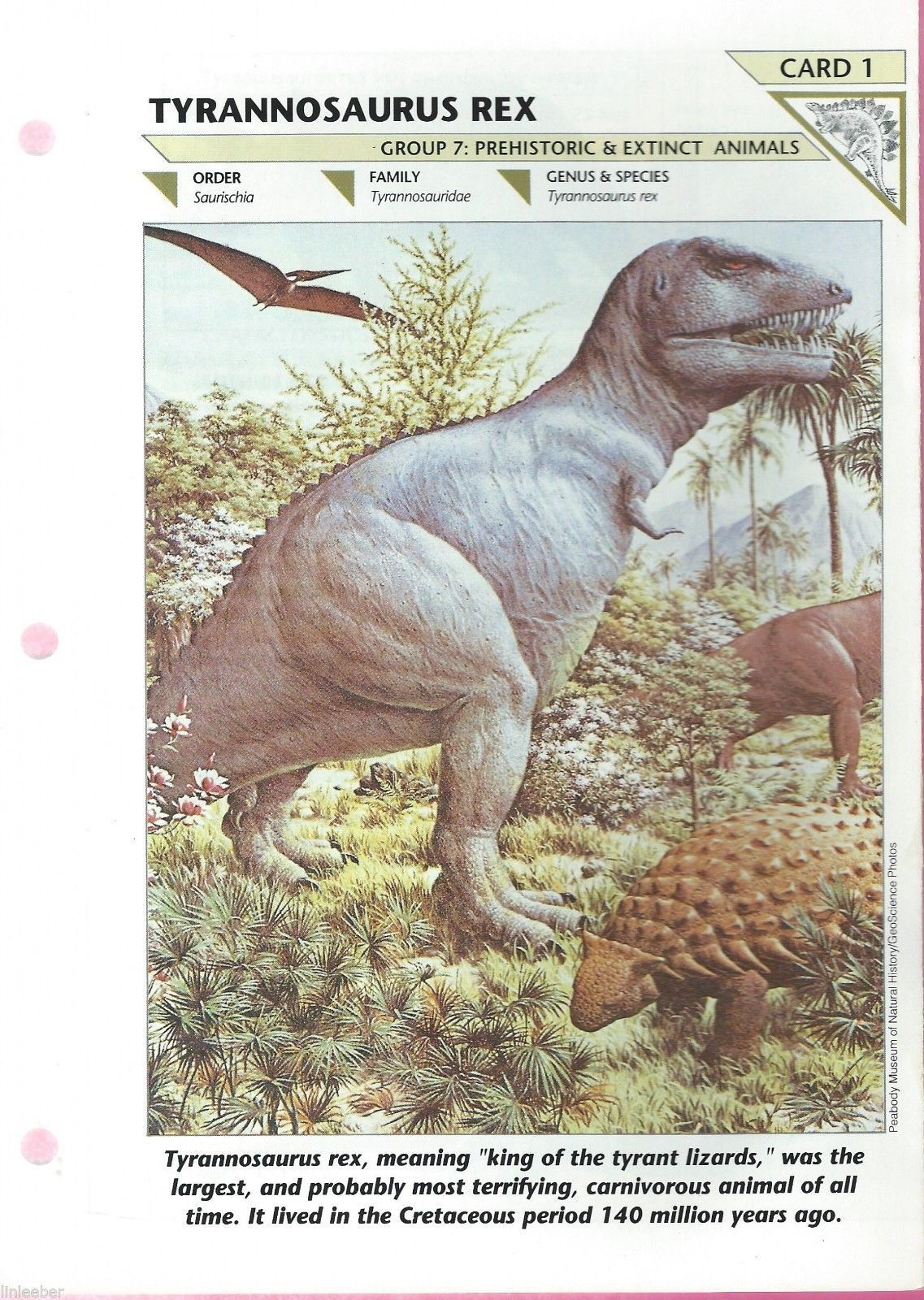 tyrannosaurus rex extinct