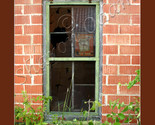 Ms 0066 oldstore thumb155 crop