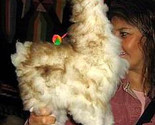 Lama2 thumb155 crop