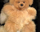 Bear4 thumb155 crop