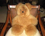 Bear6 thumb155 crop