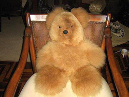 Bear6 thumb200