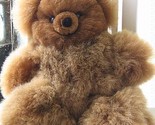 Bear7 thumb155 crop