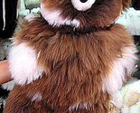Bear9 thumb155 crop