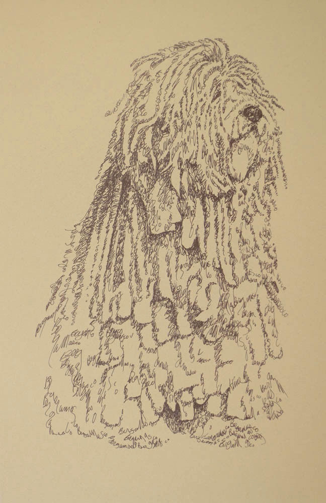 Bergamasco Sheepdog Art #34 DRAWING FROM WORDS Kline adds your dogs name free.