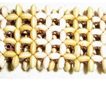 Seed_thumb155_crop