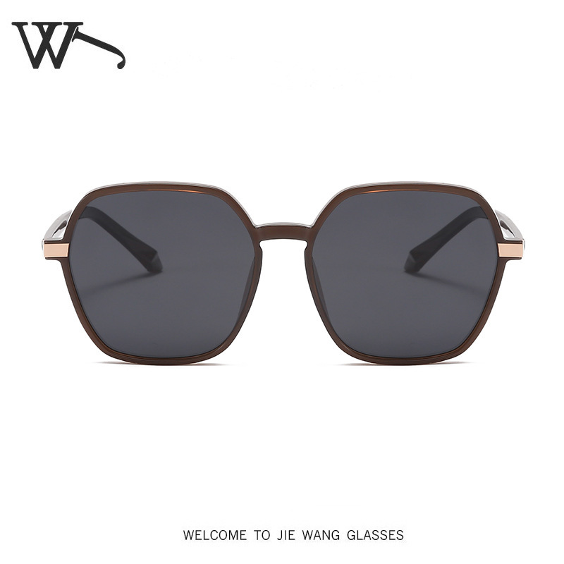 Retro Polarized Sunglasses for Men and Women UV Protection LVL-038