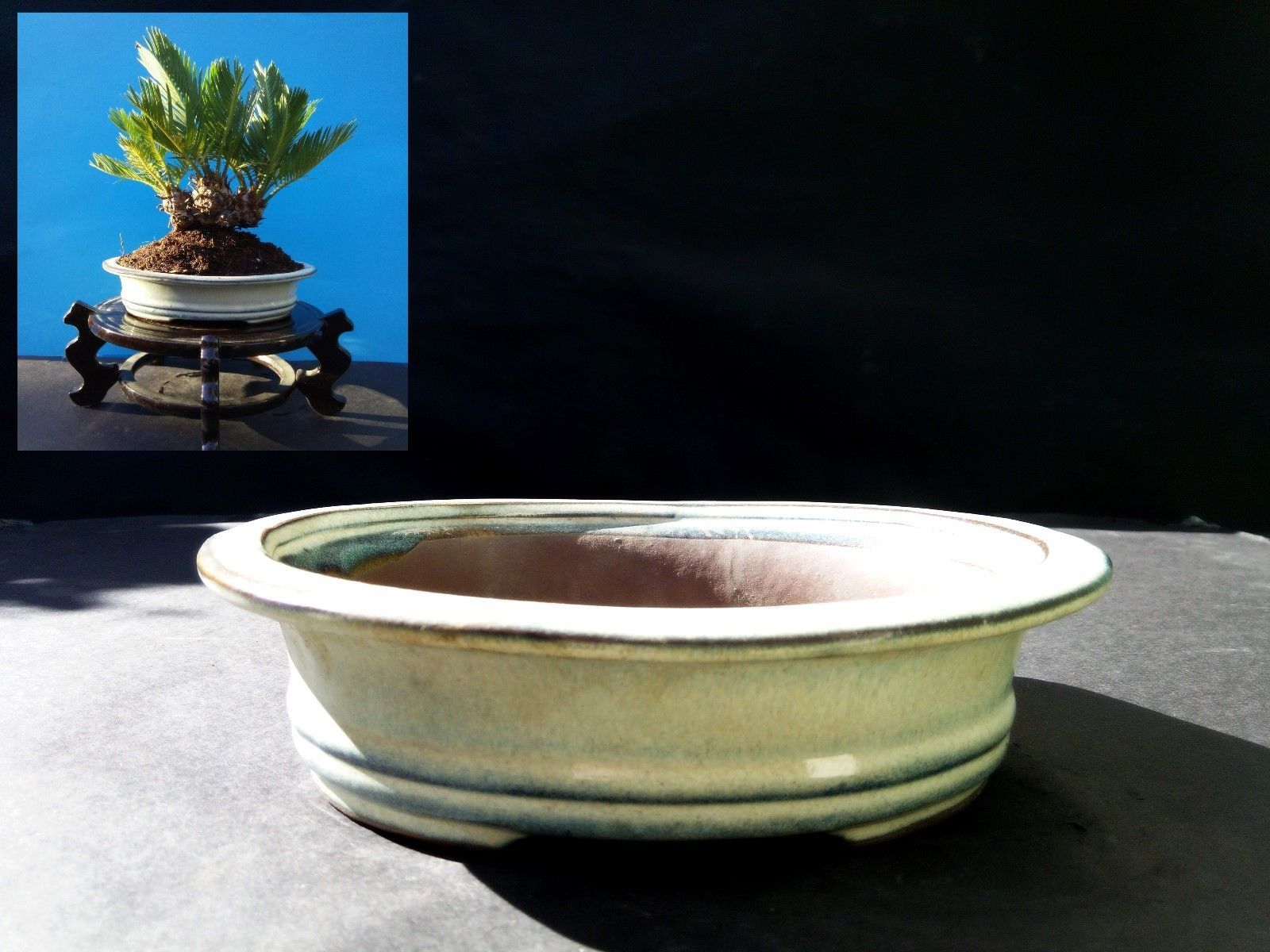  Bonsai  pot  Stone  color glaze coating and 50 similar items