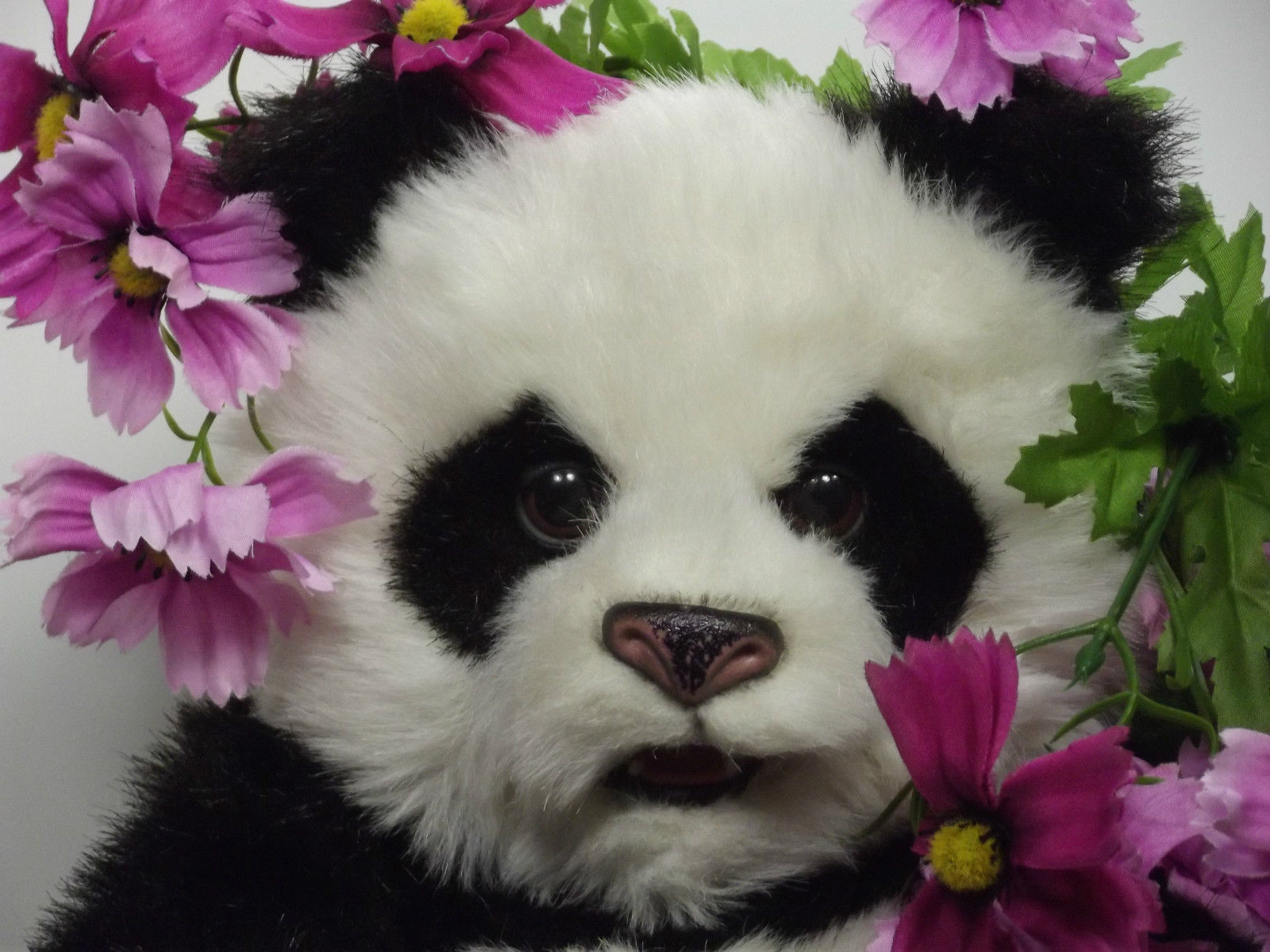 (Y22B2) FurReal Panda Bear Luv Cub Fur Real Interactive Electronic ...
