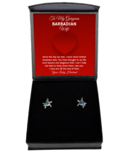 Barbadian Wife Earrings Gifts - Turtle Ear Rings Jewelry Valentines Day  - $49.95