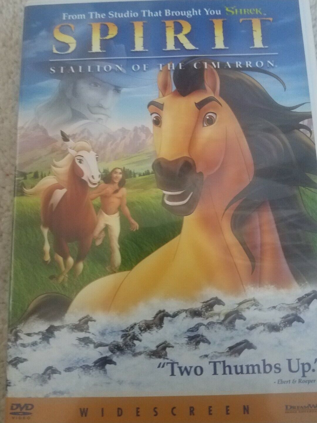 Spirit: Stallion of the Cimarron [Widescreen] - DVDs & Blu-ray Discs