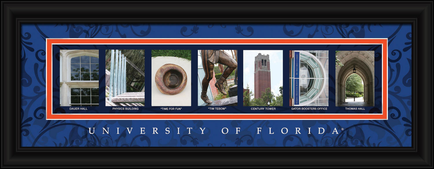 University of Florida Officially Licensed Framed Letter Art Plaques