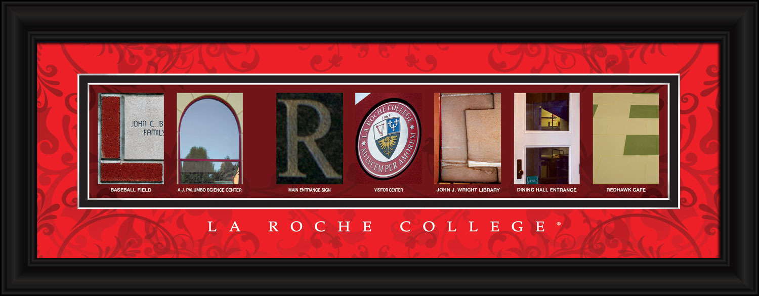 La Roche College Officially Licensed Framed Letter Art Pittsburgh PA
