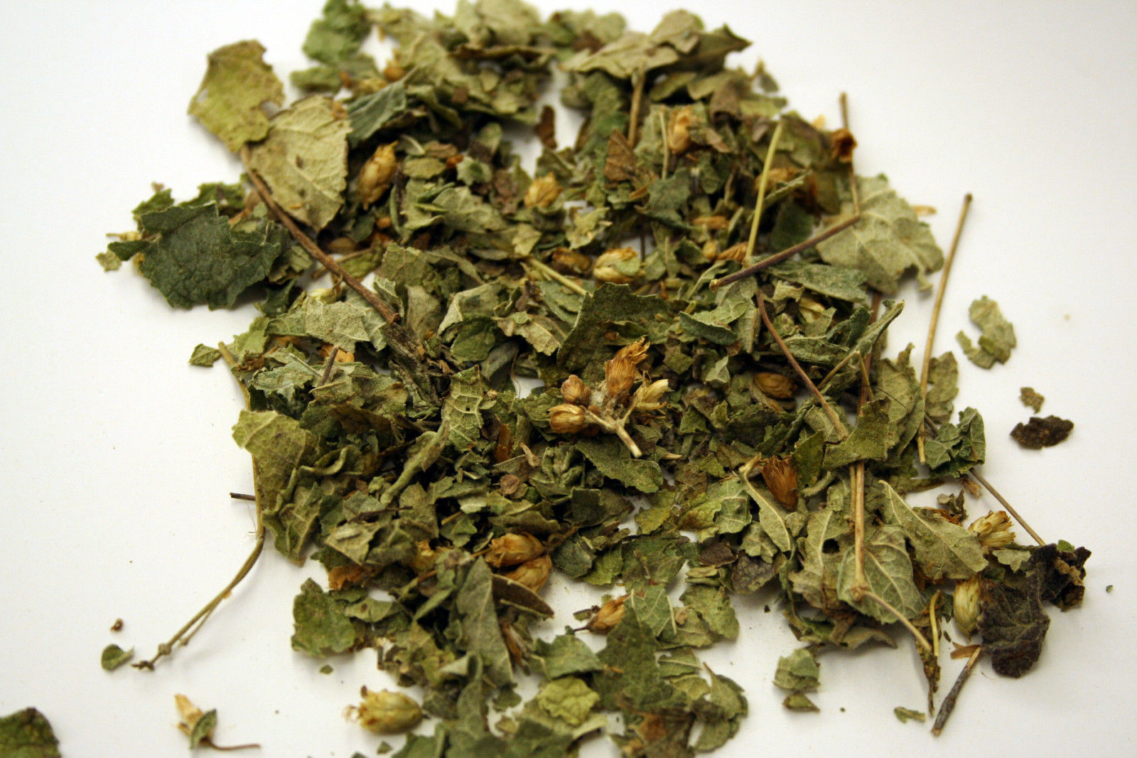 Mexican Lucid Dream Herb (Calea Zacatechichi) Cut & Sifted 4 oz - Herbs ...