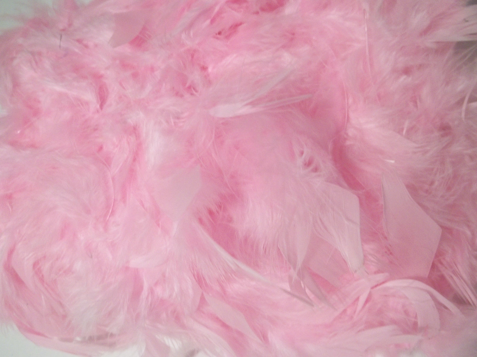 pink feather background - DriverLayer Search Engine