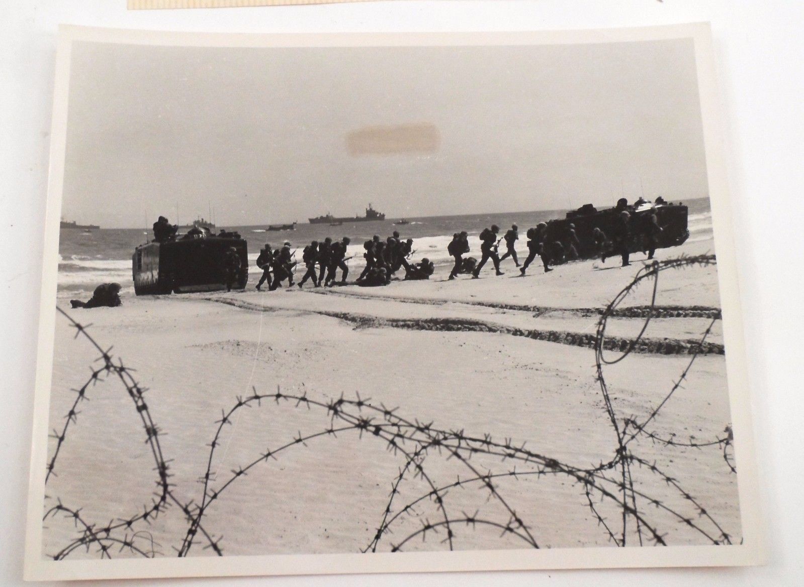 1960's 2nd Marine Division Camp Lejeune Official Photo Amphibian