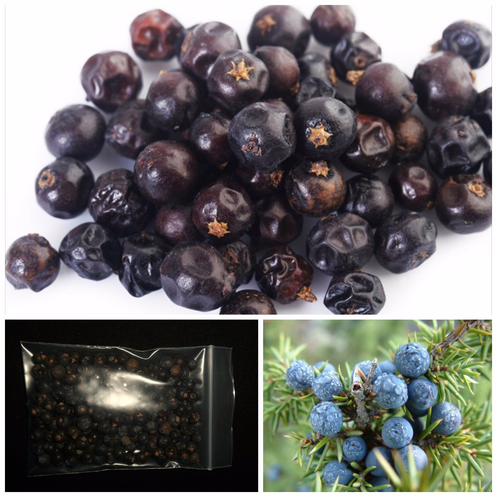 Juniper Berry 100% Natural Dried Juniper Berries - Ideal For Cooking ...