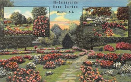 CHARLOTTE, North Carolina NC    SUNYSIDE ROSE GARDEN  ca1940&#39;s Linen Pos... - $9.81
