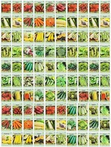 100 Assorted Heirloom Vegetable Seed 100% Non-GMO Deluxe w High Germinat... - $99.89