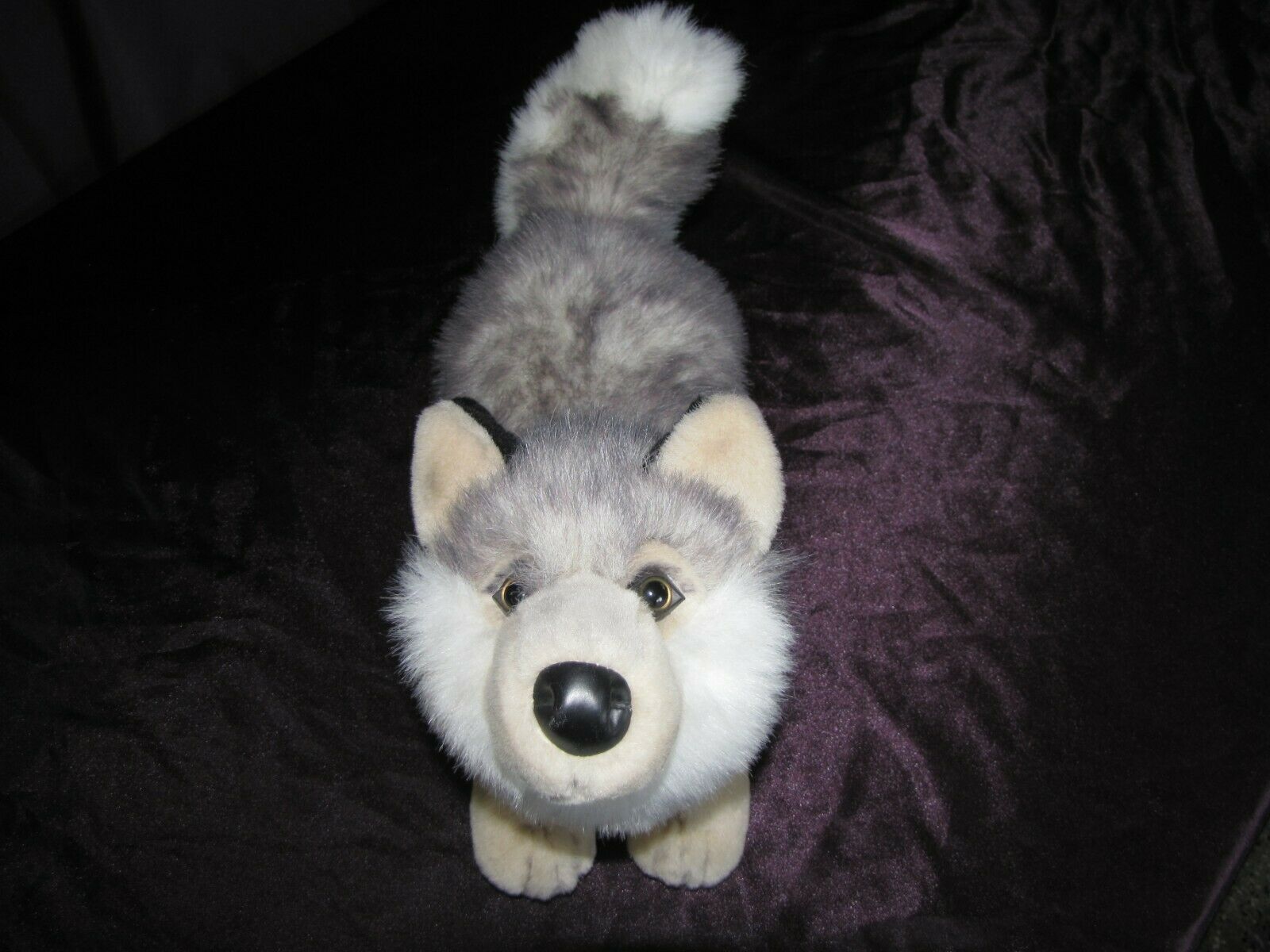 Wishpets # 64013 2002 Conway Siberian 