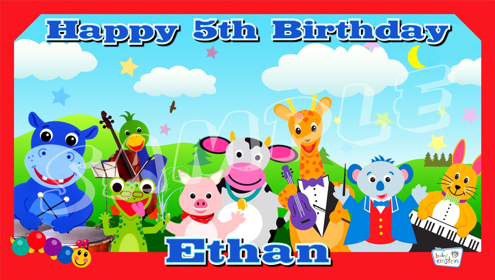 Baby Einstein Custom Personalized Birthday Party Banner Decoration