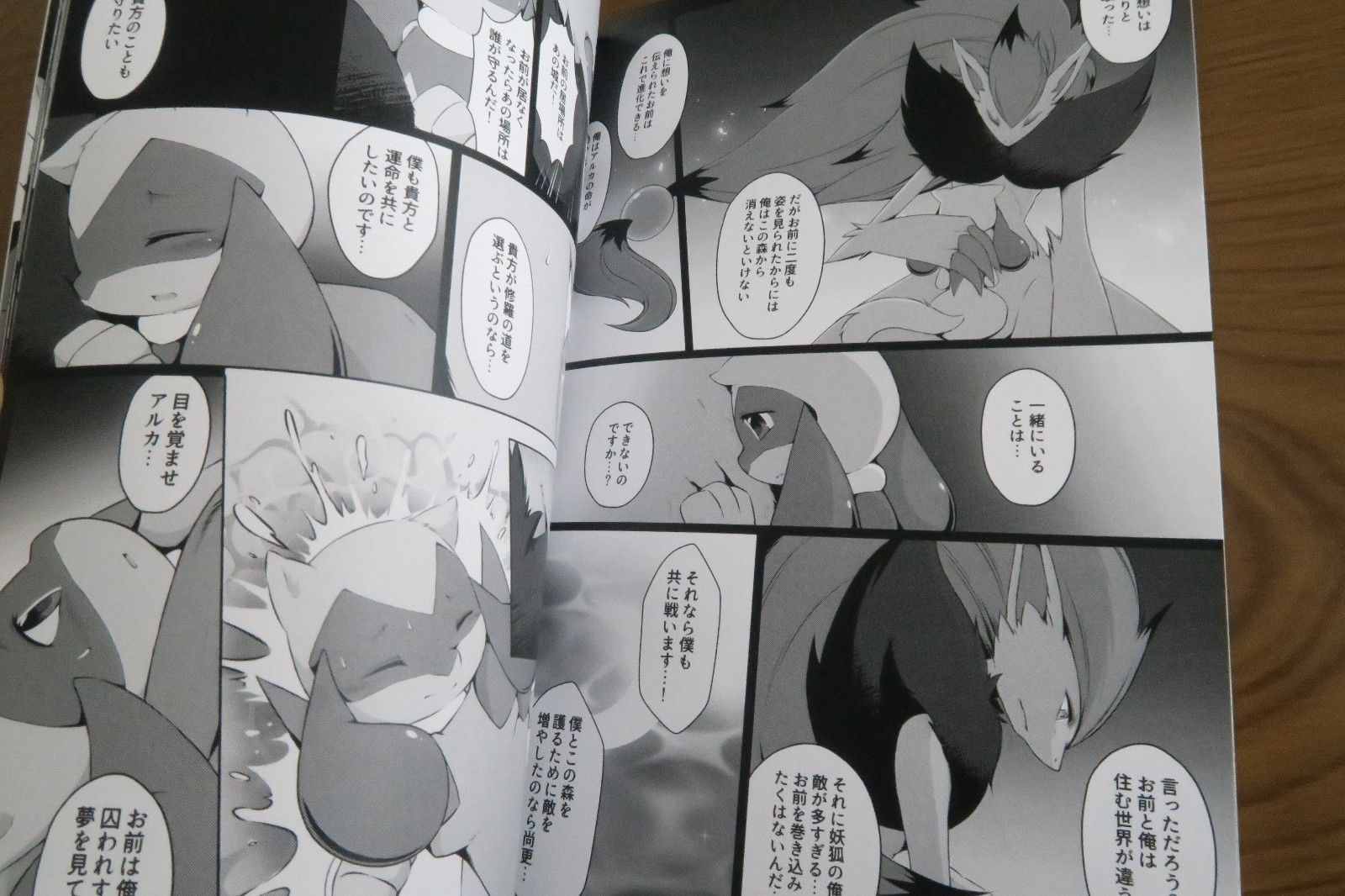 Doujinshi Pokemon Zoroark X Lucario Nova Runa 1 Kemono Furry Kyoka A5 52pages