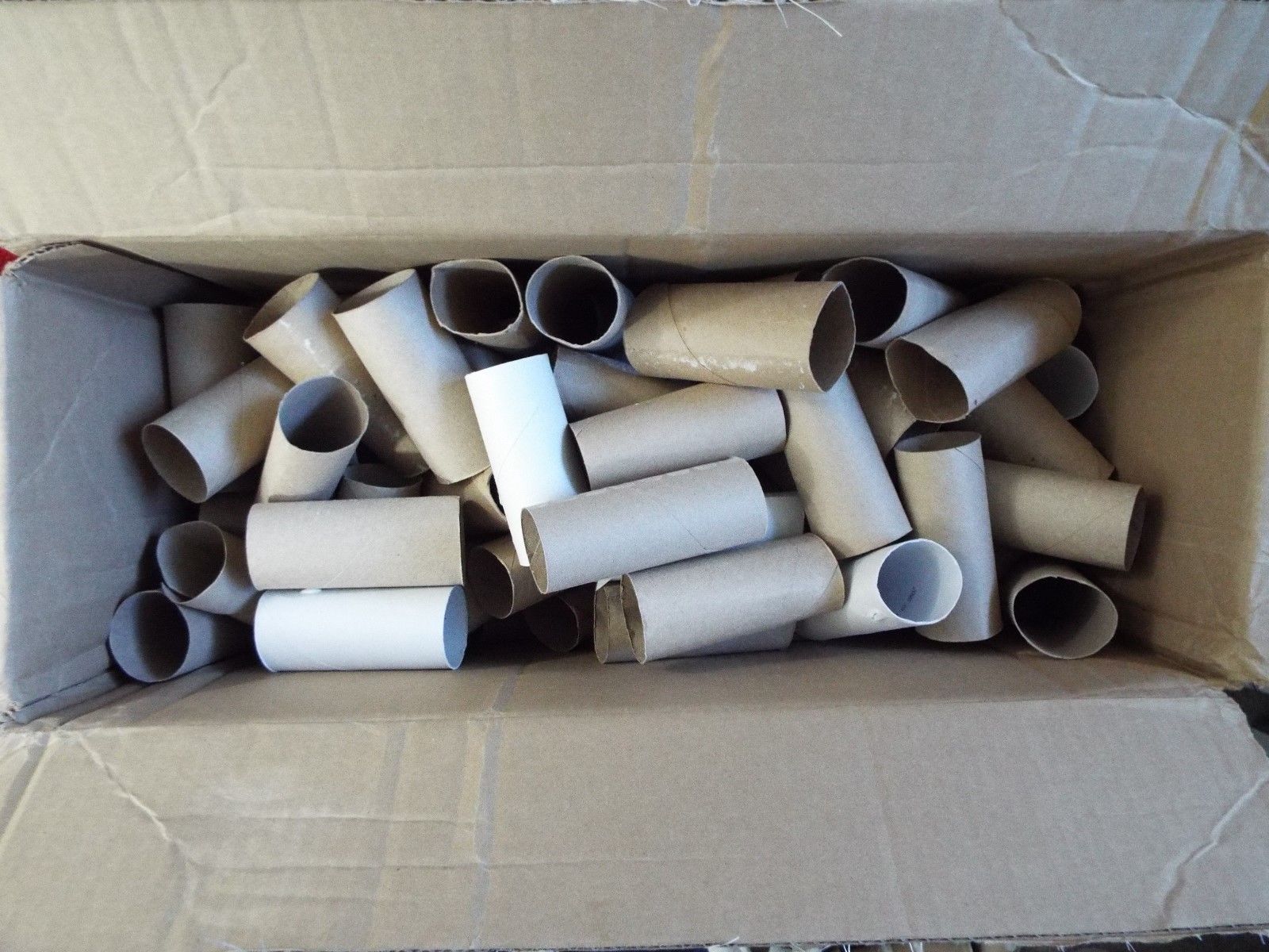Box of 204 Empty Cardboard Toilet Paper Rolls Set 1 Other Craft Pieces
