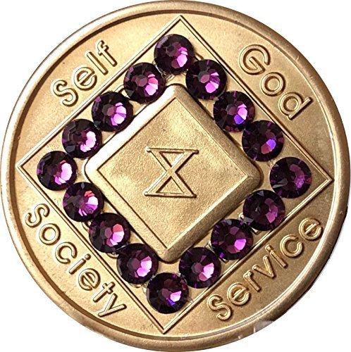 10 Year NA Medallion Bronze Purple Swarovski Crystal Chip X