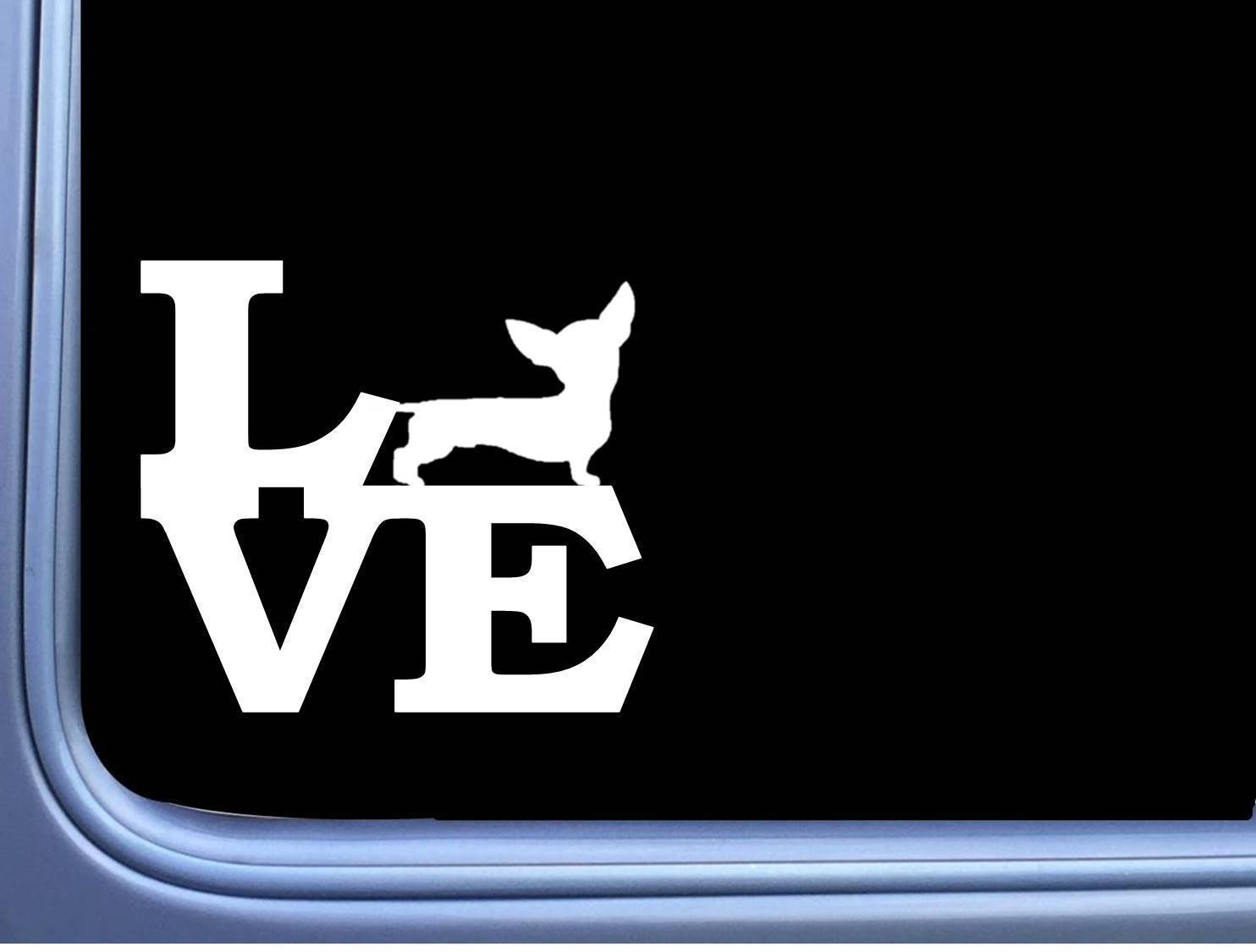 Chiweenie Love J808 6 Inch Sticker Dachshund Chihuahua Dog Decal