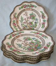 Coalport Indian Tree Multi Color Scalloped Luncheon Plate 8 3/4&quot;, set of 5 - $40.48