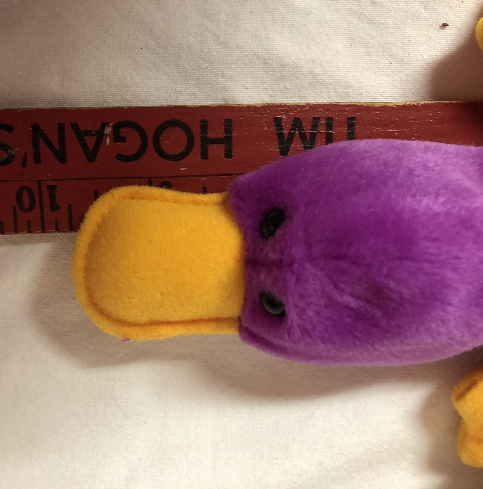 magenta platypus beanie baby