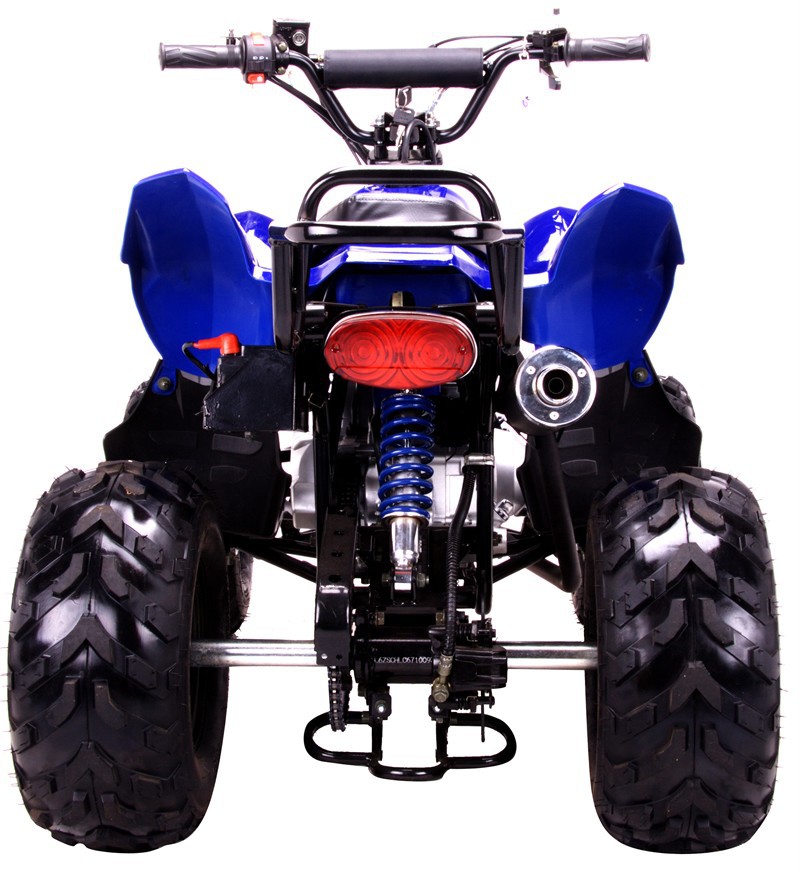 Chinese Atv Quad Rear Tail Light 125cc COOLSTER 3125B 3125R 3125X8