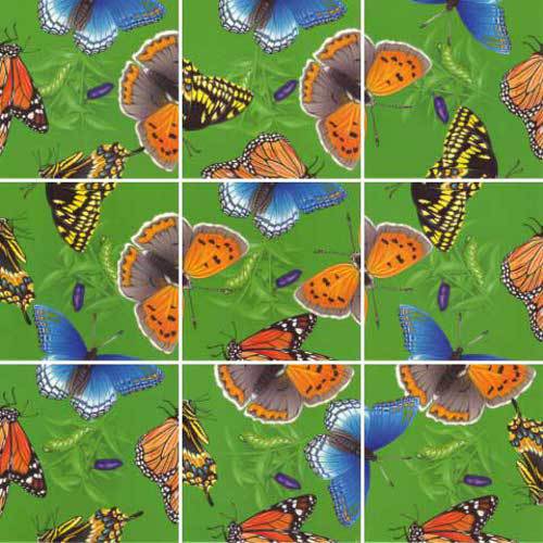 Butterflies Scramble Squares Puzzle Brain Teasers & Cube/Twist